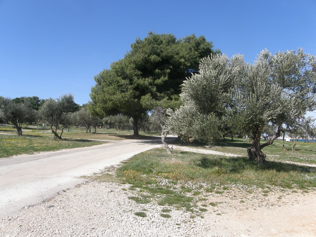 Betina - Murter, Croatia